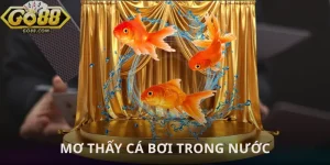 mo-thay-ca-boi-trong-nuoc