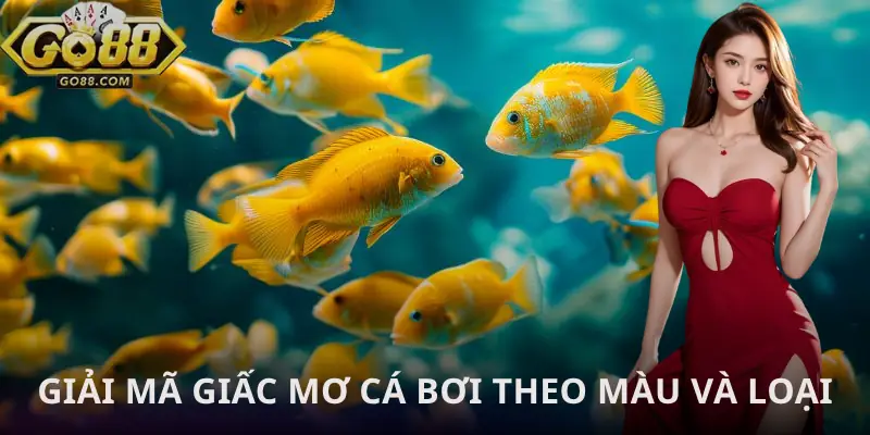 mo-thay-ca-boi-trong-nuoc-giai-ma-chi-tiet