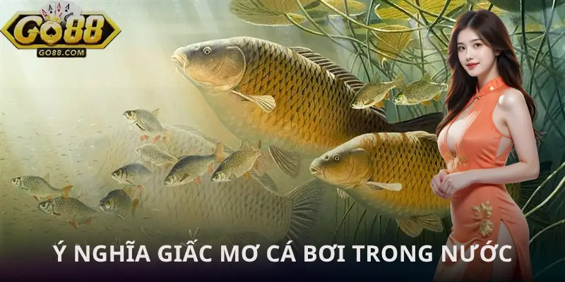 mo-thay-ca-boi-trong-nuoc-y-nghia