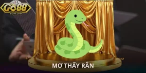 mo-thay-ran