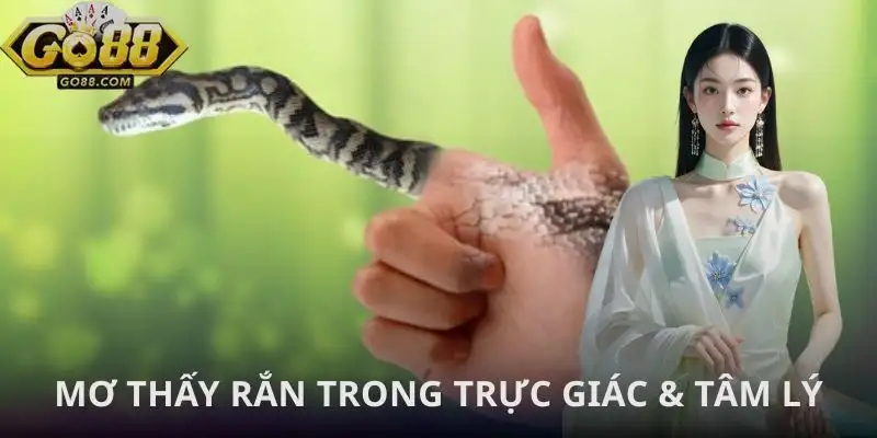 mo-thay-ran-trong-tam-linh-va-tam-ly