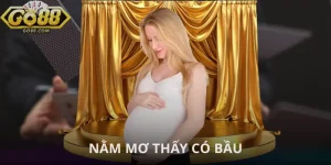 nam-mo-thay-co-bau
